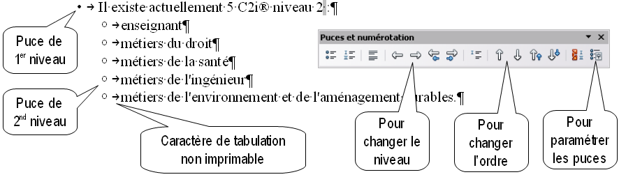 La hiérarchisation des puces