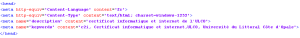 Exemples de métadonnées de type "keywords" présentes dans la page d'accueil du site C2i de l'ULCO